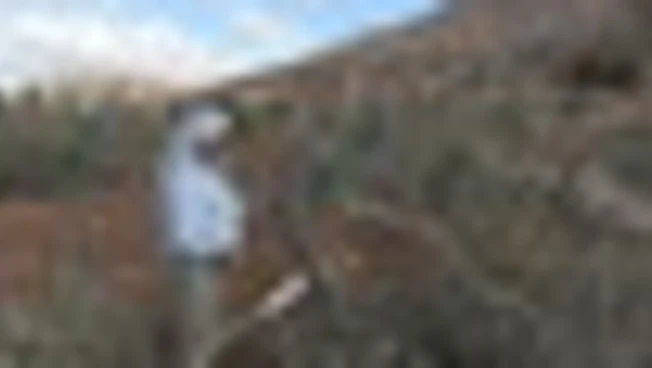 https://media.liberoquotidiano.it/9tJmEGpM9szOZenYareQLRD-BmN0yHwK_T9InBTf2Ec/width:800/quality:90/aW1hZ2VzLzIwMjUvMTAvMDYvMTcwODM3OTA2LWQzZDNlNzY3LWEwZmUtNDQyYi1iZGM2LWE0MzU4YWY1MDIxZi5qcGc.webp