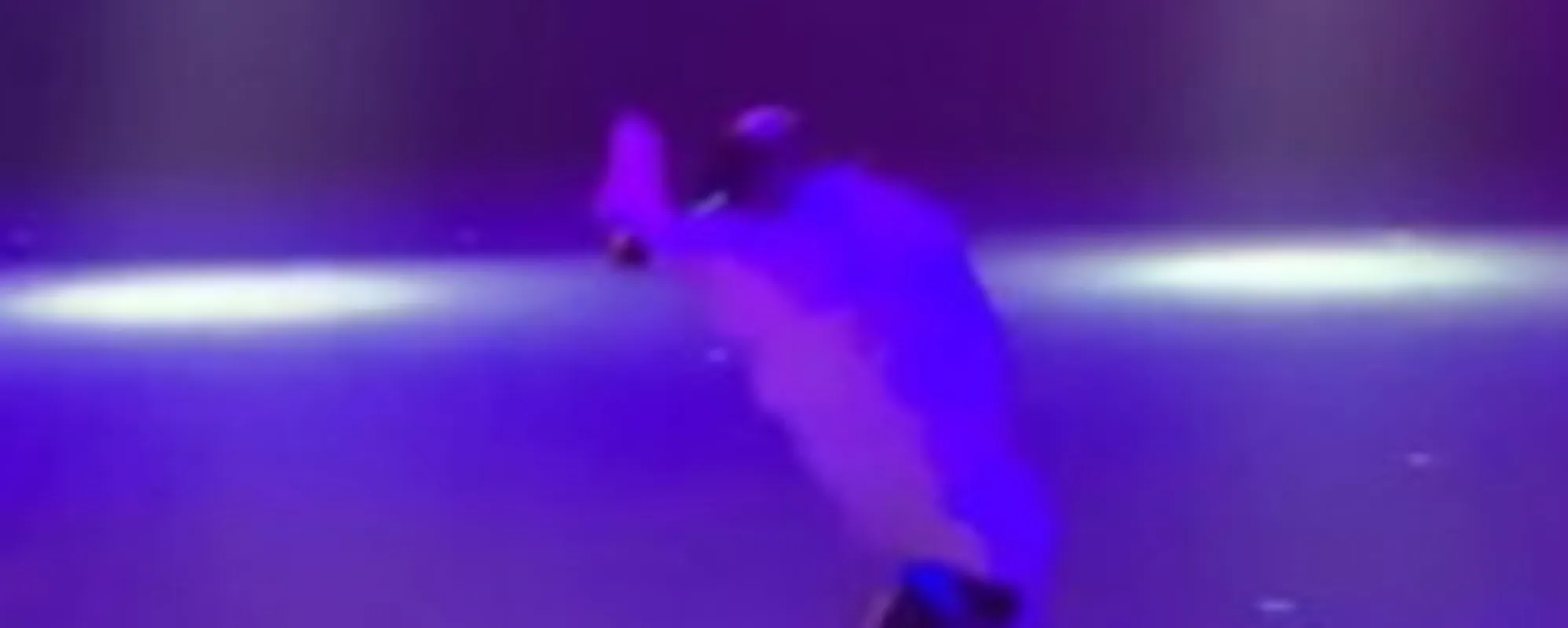 Il robot cinese balla come Michael Jackson: finisce malissimo <span style="color: rgb(153, 0, 0);">video</span>