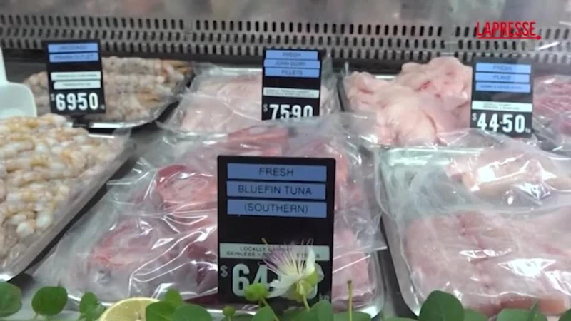Australia, a Port Lincoln la fioritura delle alghe causa la morte di oltre 5.000 tonni