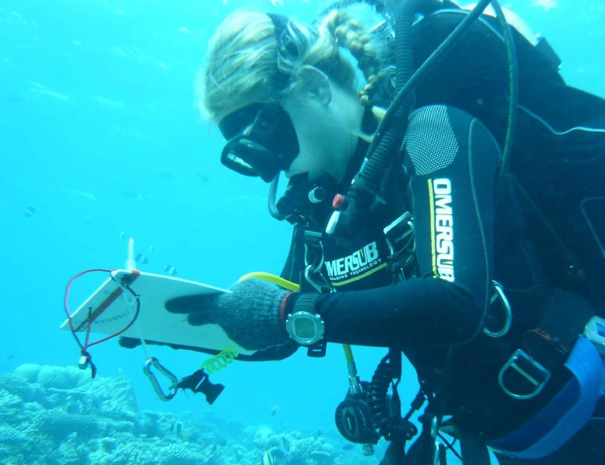 Maldive, sub italiani morti: "A loro non serviva il permesso, ma...", l'ultimo mistero