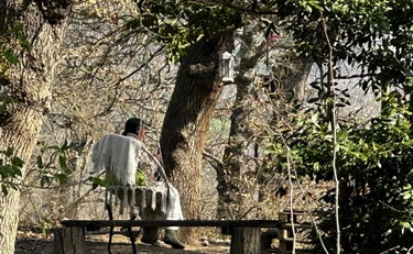 Famiglia nel bosco, i genitori che litigano, l’autolesionismo dei figli: il pasticcio dei giudici sta demolendo la famiglia