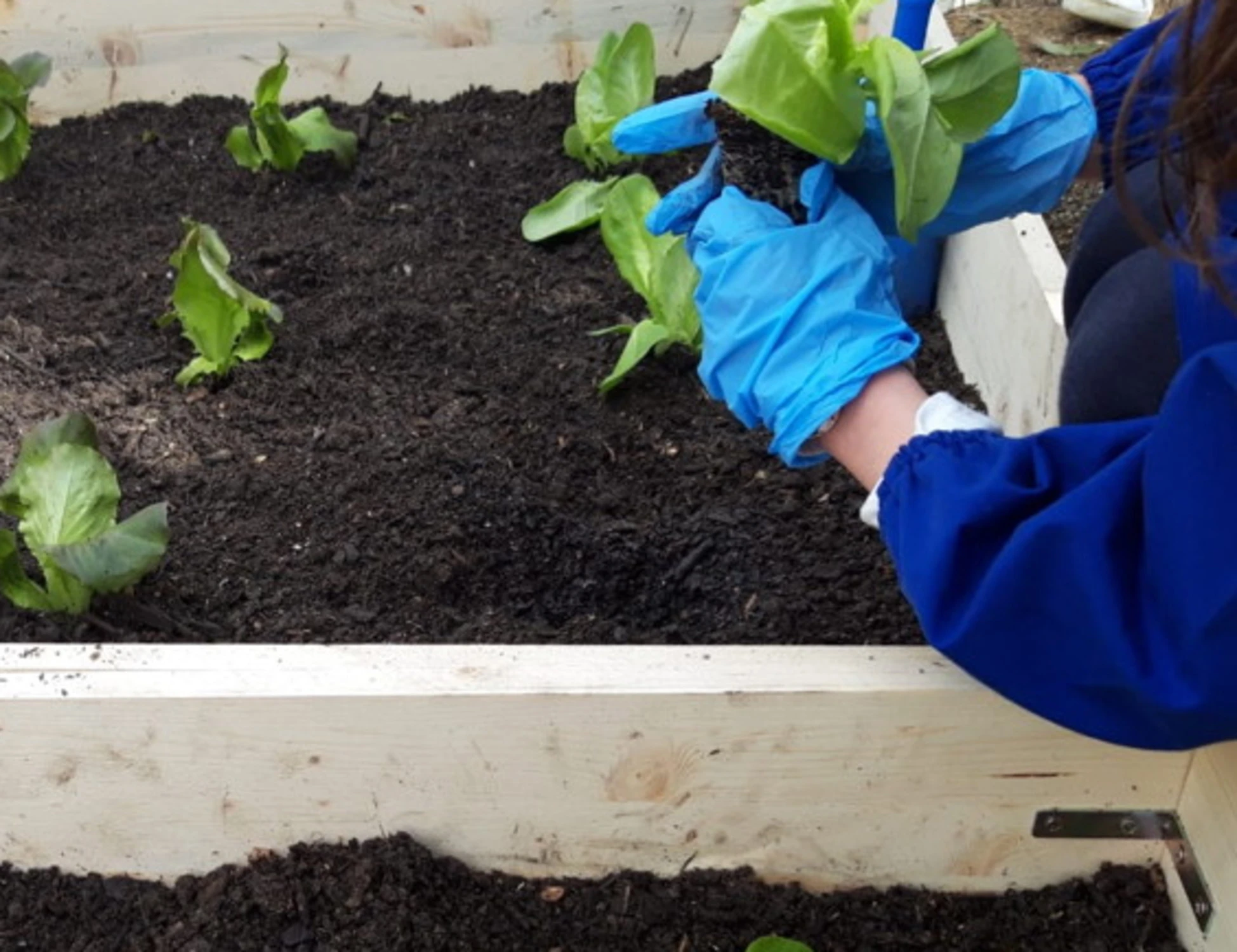Risparmio idrico e aree verdi: la nuova sfida ecologica parte dai banchi di scuola