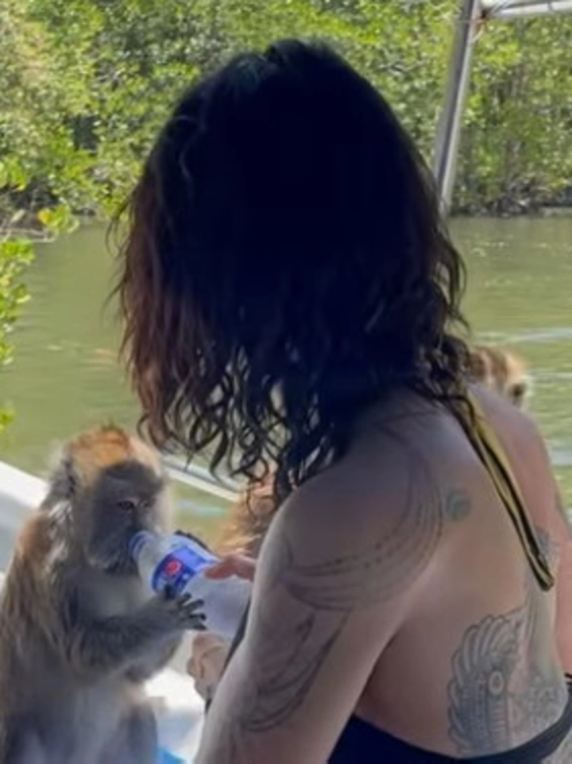 Asia Argento "allatta" le scimmie in Malesia? Finisce in disgrazia | Video