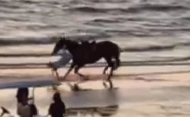 Belen Rodriguez, "ho fatto un volo": brutta caduta da cavallo, il video