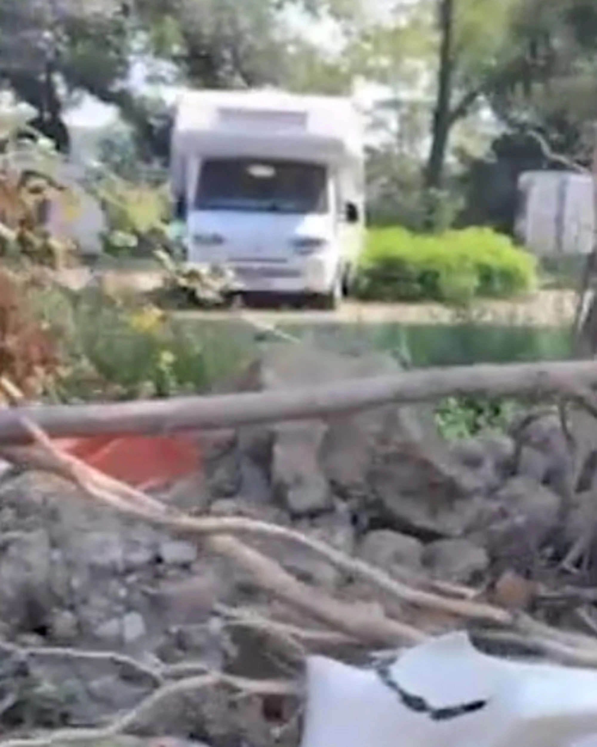 Milano, le famiglie dei 4 minori dell'incidente si allontanano: giallo al campo nomadi