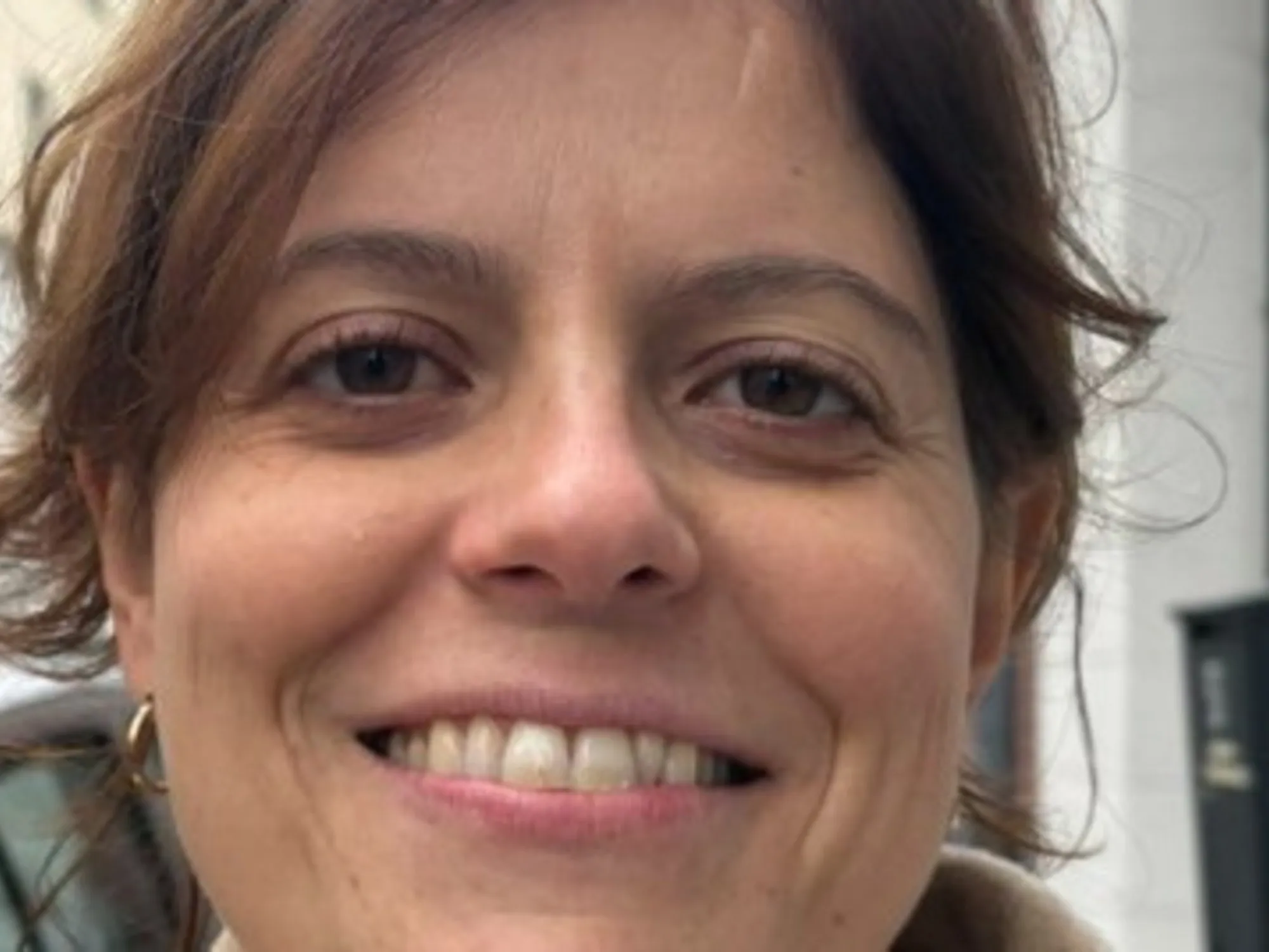 Ilaria Salis, autogol con gli auguri per Sant'Ambrogio: "Che Milano torni bella e accogliente"