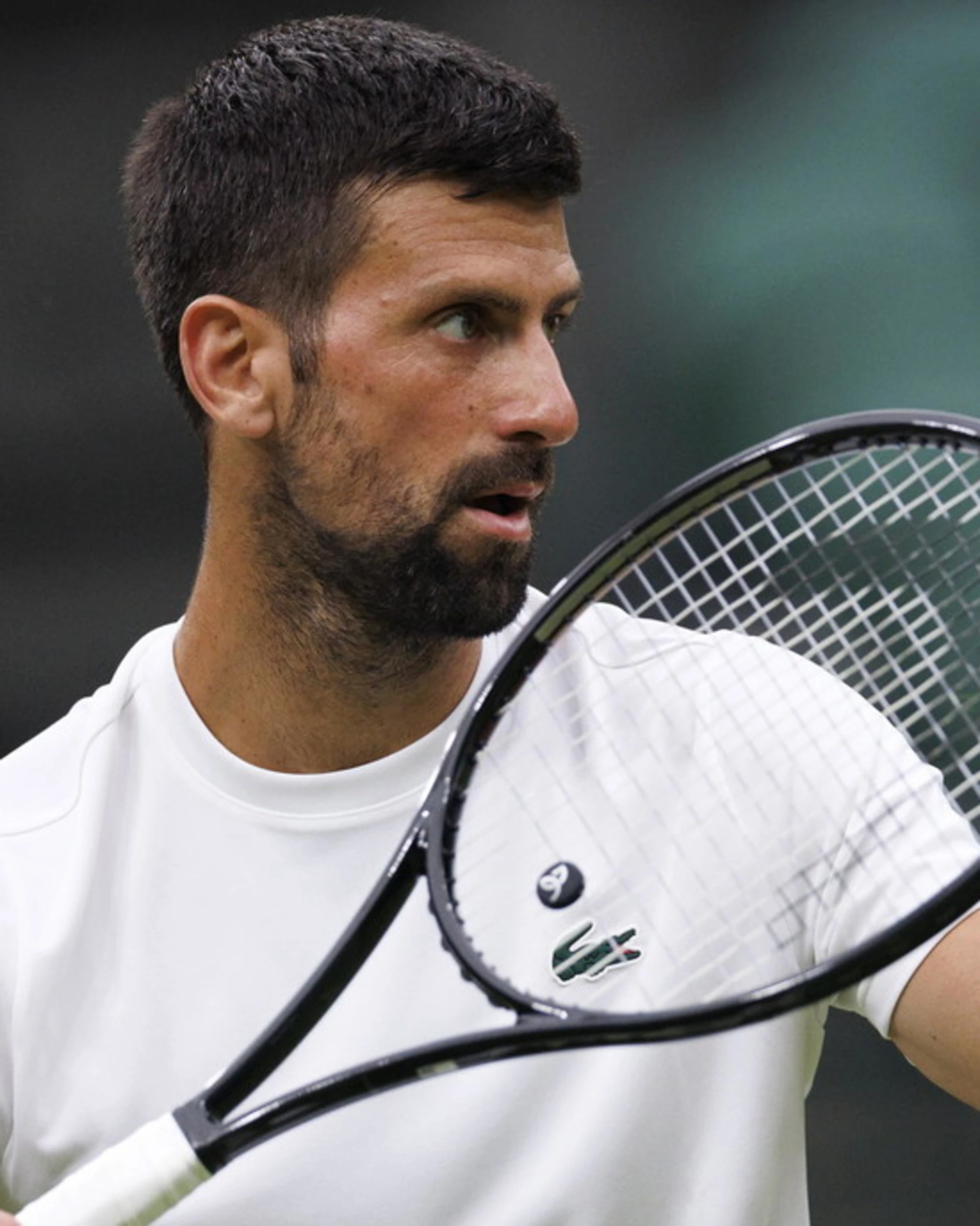 Jannik Sinner, il sospetto di Djokovic: "Cosa sorprende su Panichi e Badio"