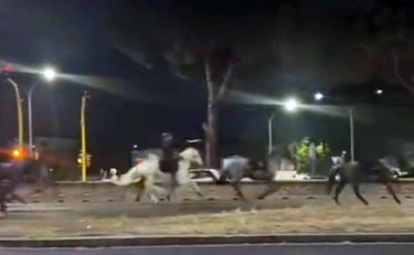 2 giugno, "cavalli disertori contro la destra": equini in fuga, la sinistra si esalta