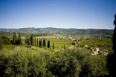 Pubblicata circolare applicativa 'Campolibero'