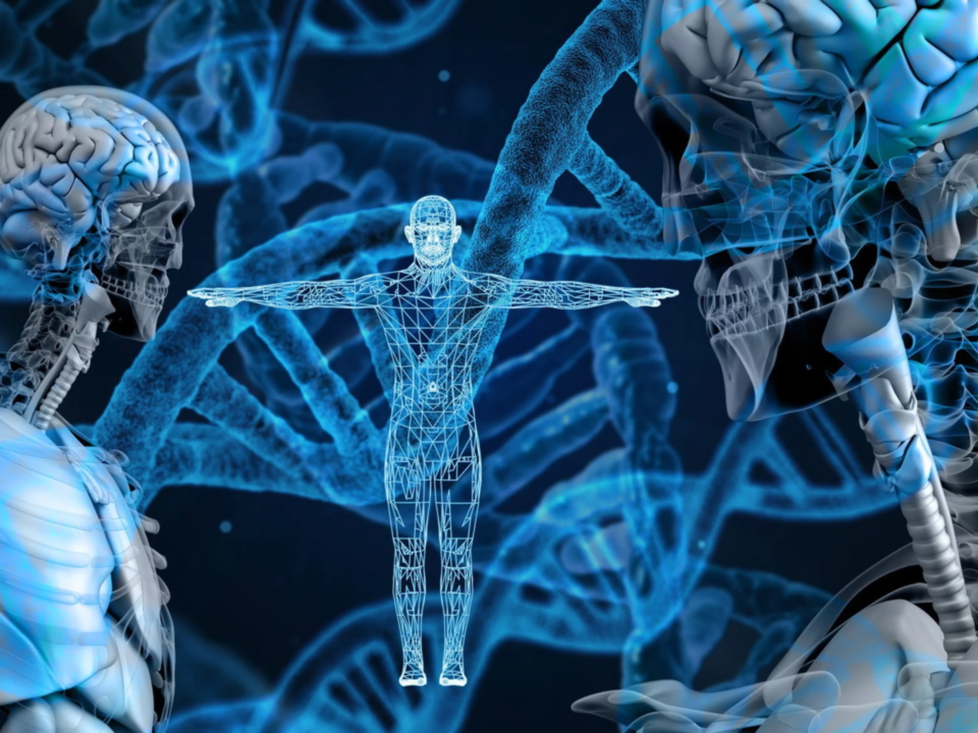 Proteine, ecco come si "piegano" all'interno del nostro corpo