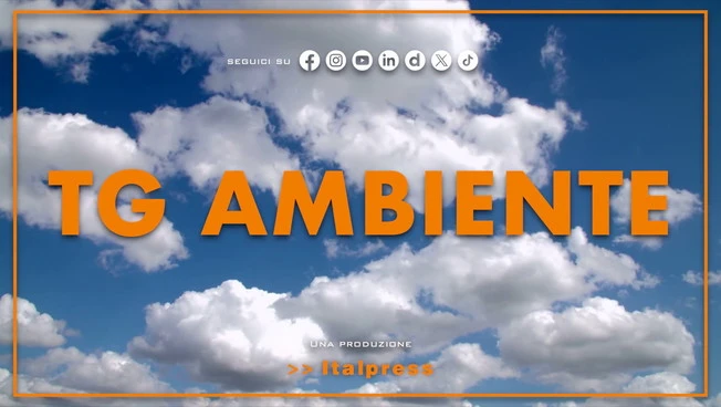 Tg Ambiente - 15/2/2026