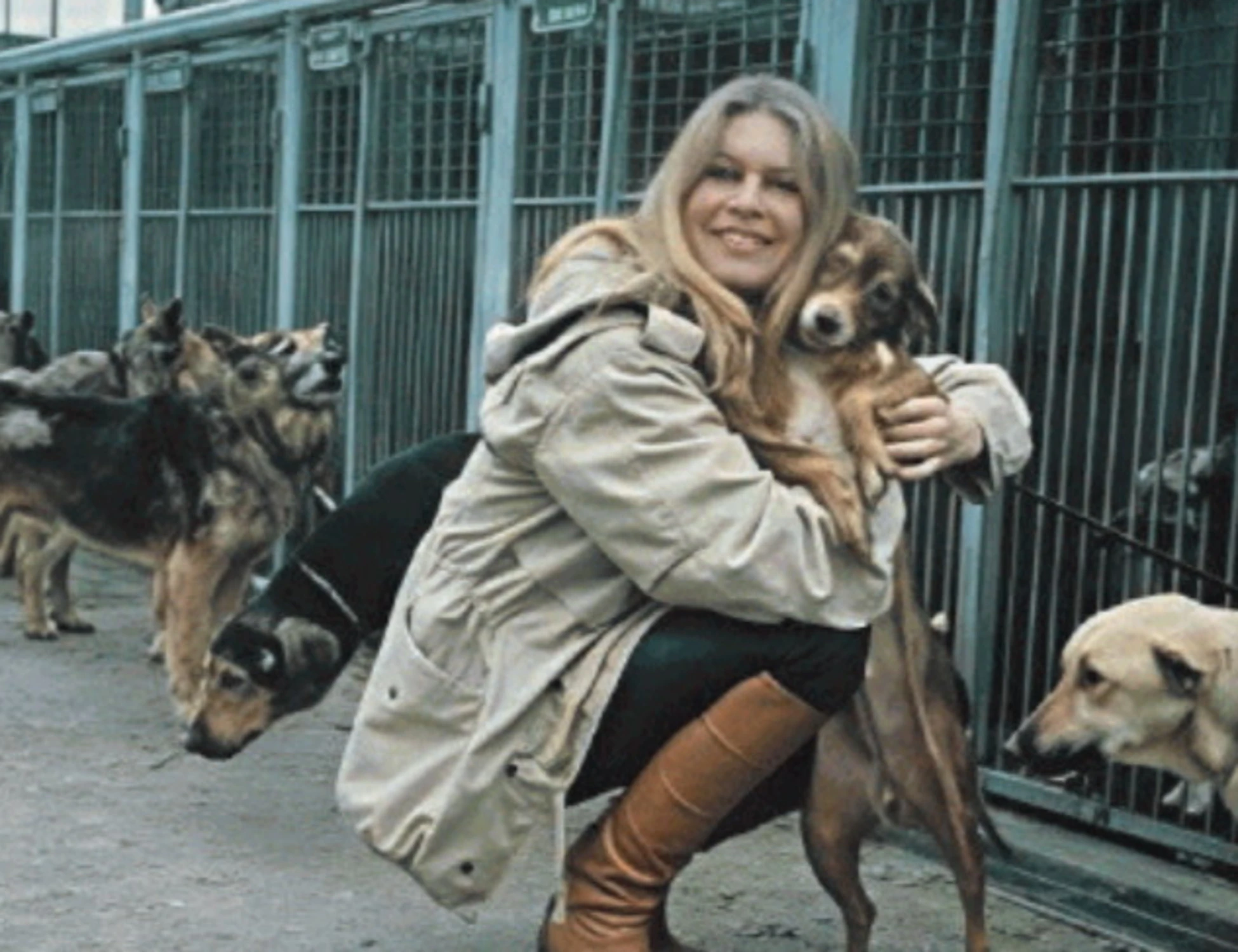 Brigitte Bardot, la capra e la sua seconda vita