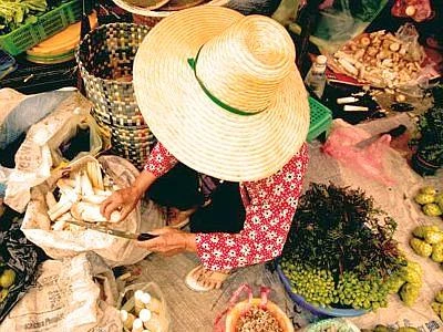 Accesso equo al cibo, oggi a New York l'incontro organizzato dall'Onu