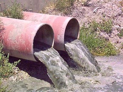 Ideato innovativo indicatore di acque pulite che utilizza gli enzimi