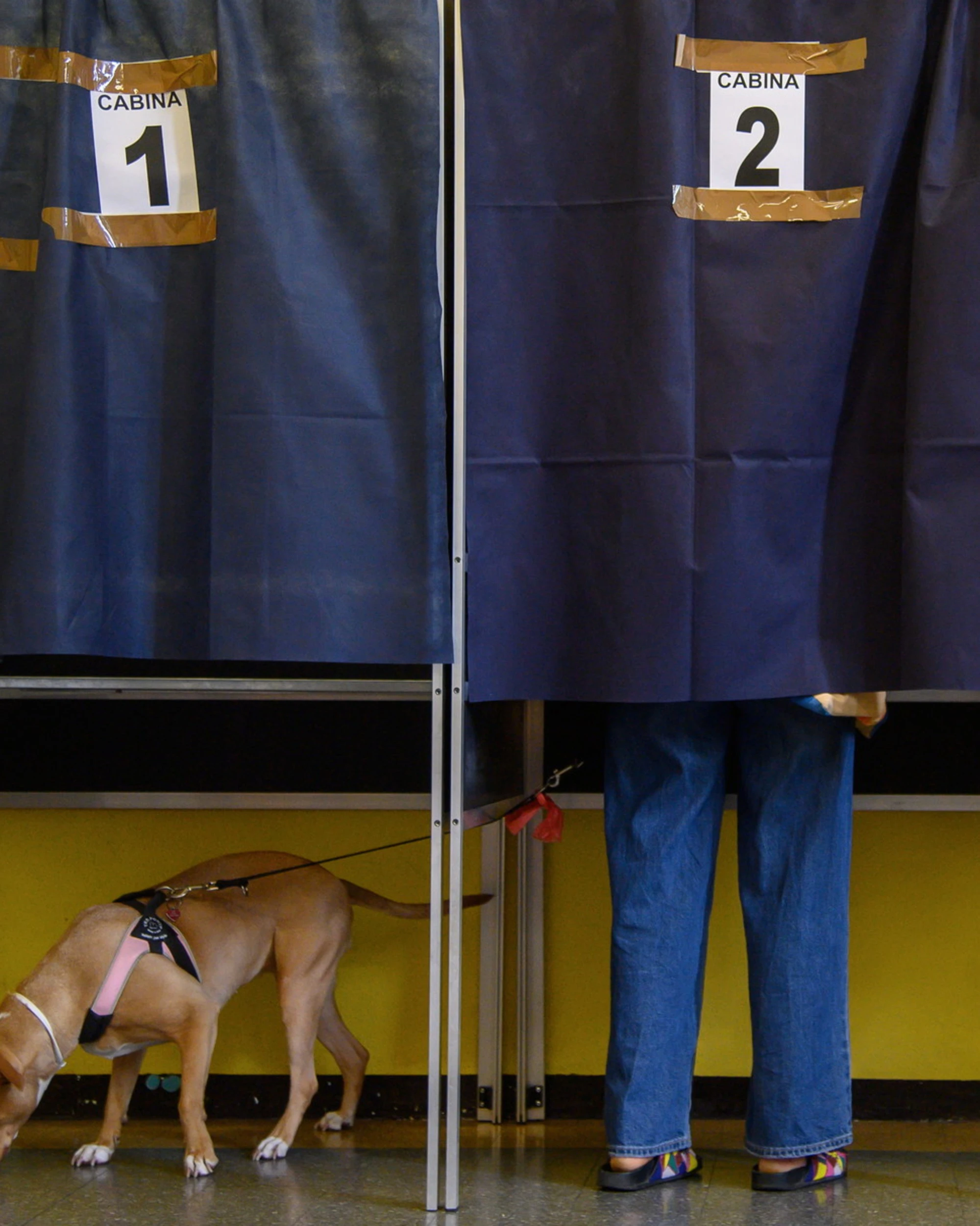 Referendum, alle 19 affluenza al 16,16%