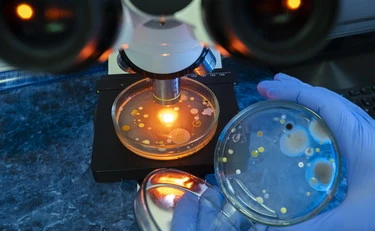 Tumore al testicolo, la nuova cura: come cambia la battaglia