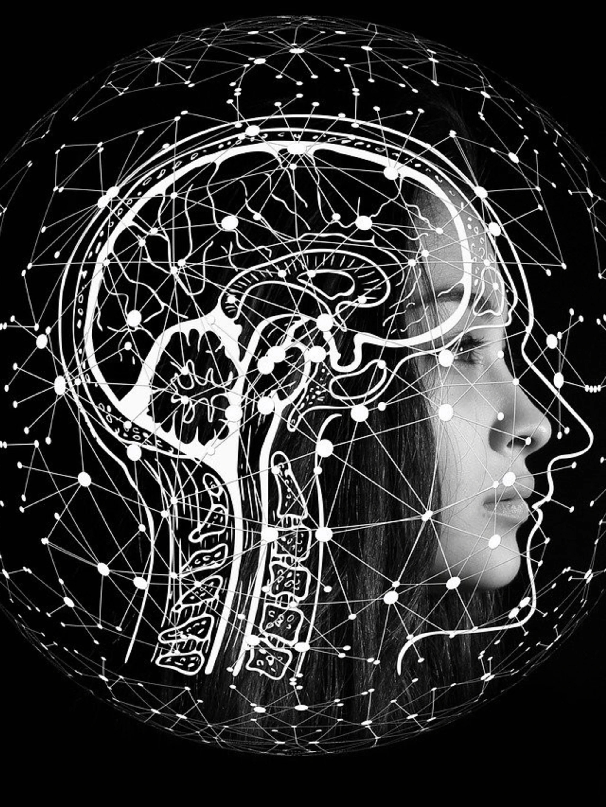 Cambridge deraglia: "Ti esprimi come l'intelligenza artificiale"? Un insulto...