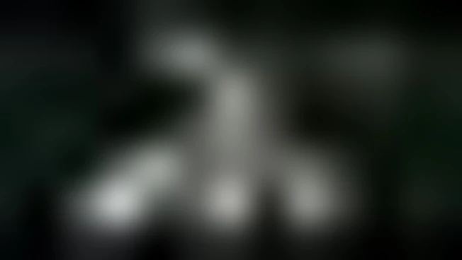 Nuovo album dei P.A.O. 