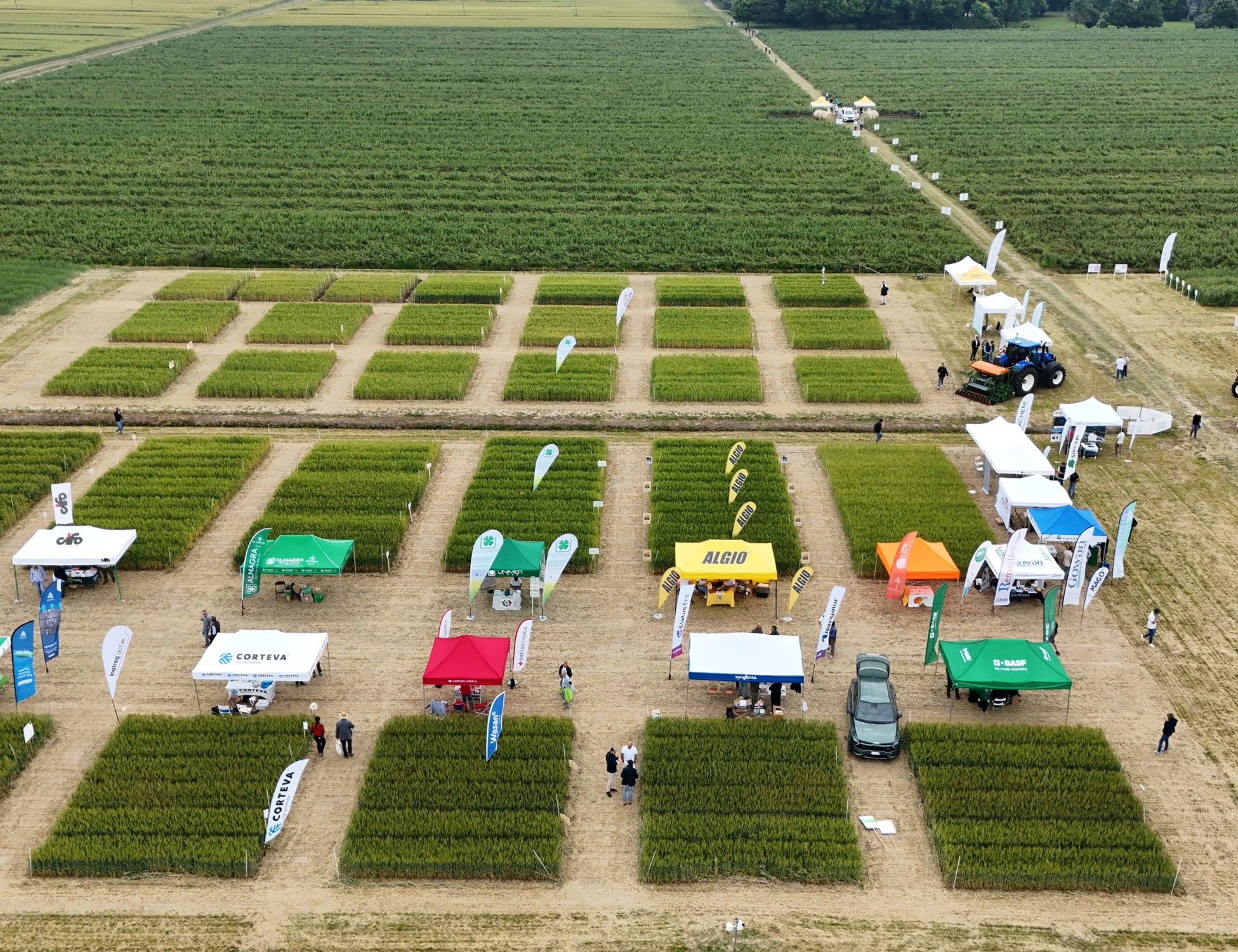 Grano, consorzi agrari d'Italia-Coldiretti: qualità in crescita ma preoccupa il -7% sul duro