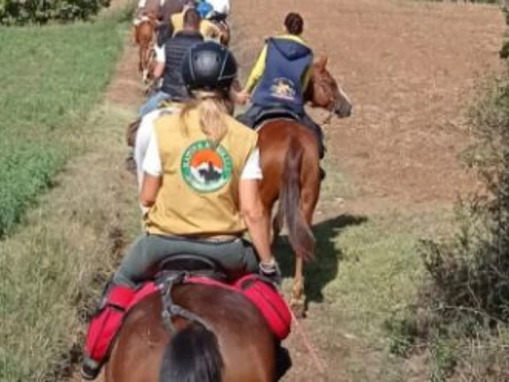 Dall'Ippodromo di Vinovo, alle porte di Torino, in piazza San Pietro il nome del Giubileo