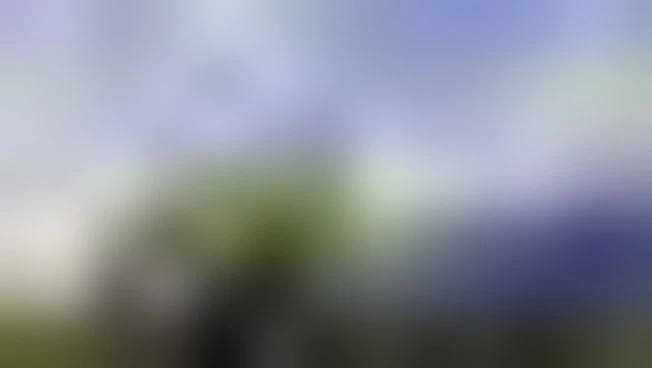 https://media.liberoquotidiano.it/AjAVTx0GSaIsiuaQJjiBOULDPldr_CgBcjkVnbTGEjg/width:800/quality:90/aW1hZ2VzLzIwMjUvMDkvMTIvMTcwMTM3MzQyLWQwZDkxM2ZhLWEwOTctNDc1Ny04ZGQxLTk3ZGRiZjc5NjAxOS5qcGc.webp