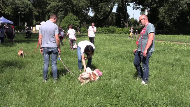Dog Lovers Day, a Roma e Milano focus sulla prevenzione veterinaria