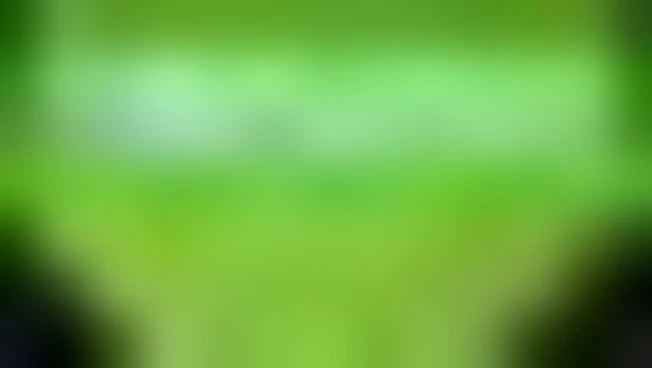Ceo di Nvidia: i dati sono come risorse naturali per gli Stati