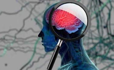 Alzheimer, ecco le regioni in cui si rischia di più