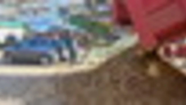 Francia, protesta agricolotori: patate davanti alla villa di Macron