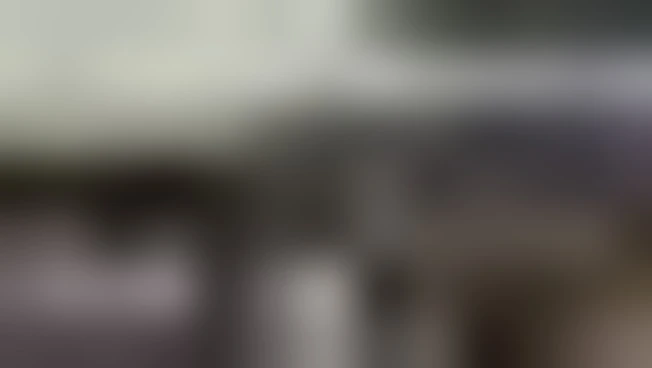 https://media.liberoquotidiano.it/As8EER_bizQ89He6nCOjOps8CbZ9ehP-MLtd3w9mGPM/width:800/quality:90/aW1hZ2VzLzIwMjUvMTAvMTMvMTE0NjE0ODA3LTExNDU2ZGRiLTI2OGItNDc5MS04OGMwLWYzYzdjNGQxNTU5Mi5qcGc.webp