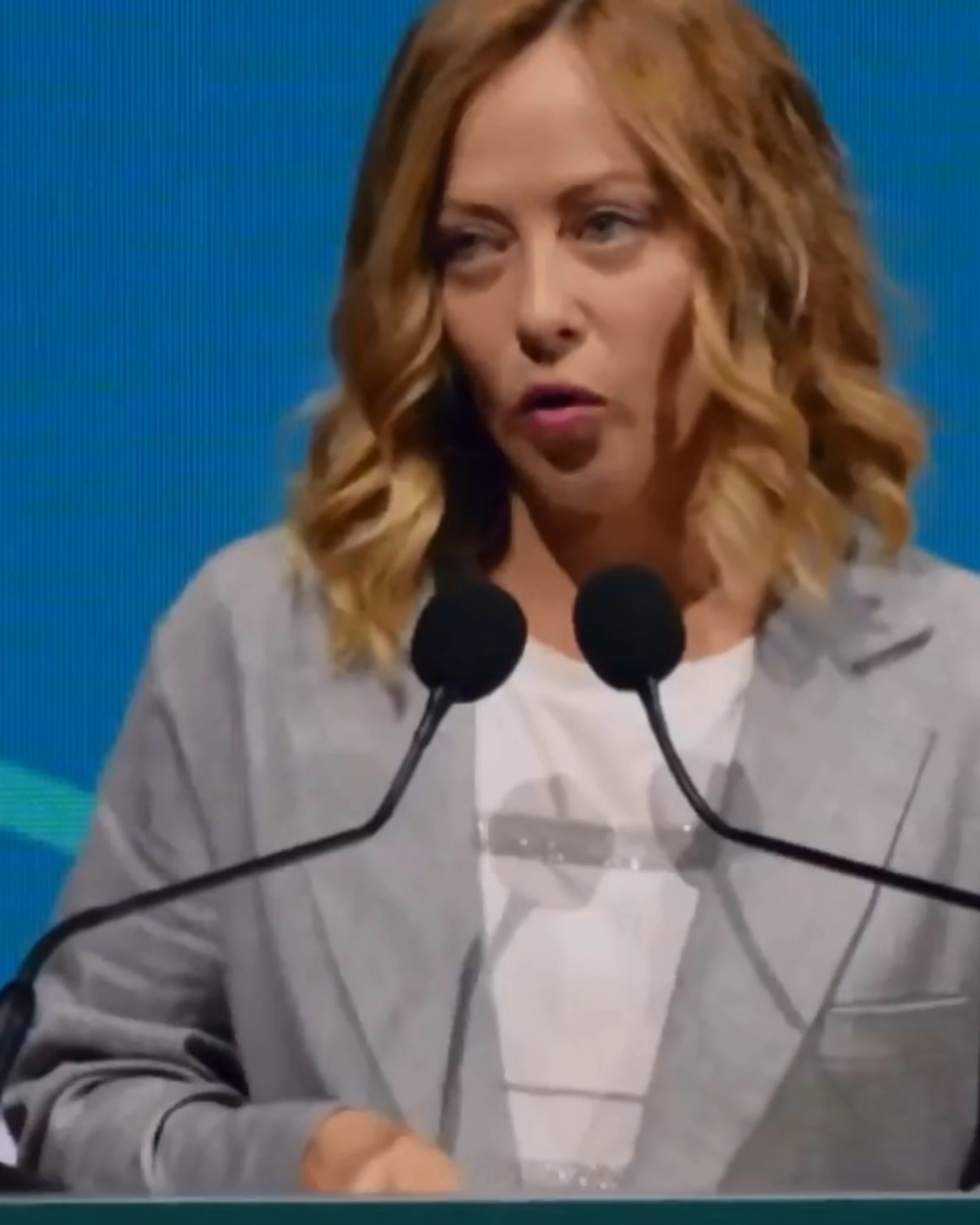 Giorgia Meloni, ovazione dei commercialisti. E lei: "Mi imbarazzo"