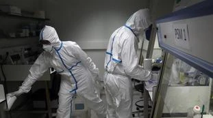 Coronavirus e la fusione tra genomi: il virus già in circolazione da decenni?