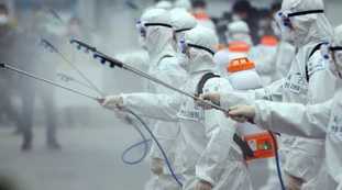 Coronavirus, gli esperti e il ribaltone scientifico: può sparire con il caldo e il sole