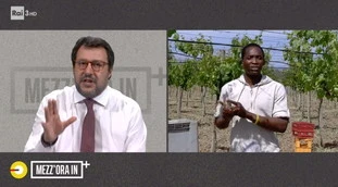 Matteo Salvini e il sindacalista dei braccianti irregolari, scontro a Mezz'ora in più: "Adesso scioperano pure i clandestini?"