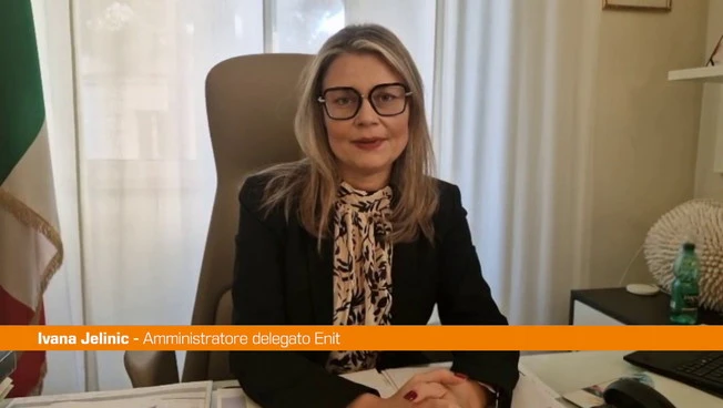 Jelinic "L'aeroporto di Palermo cardine per lo sviluppo della Sicilia"