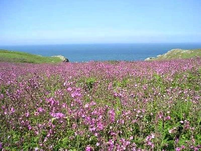 Meteo, ancora qualche acquazzone ma da giovedì arriverà l'estate vera