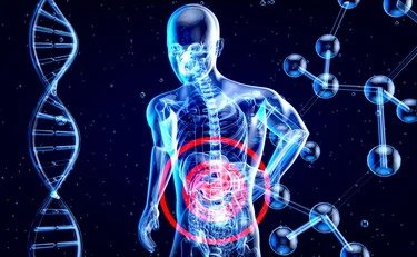 Il ruolo dell'intestino nel proteggere il cervello: il viaggio delle cellule immunitarie    