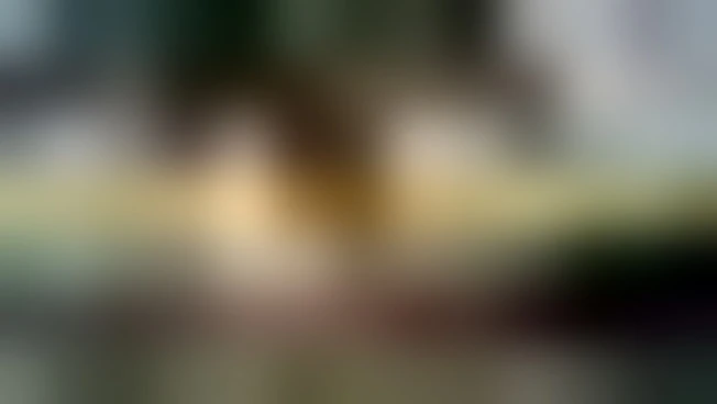 Poste Italiane: "Camera con Vista"