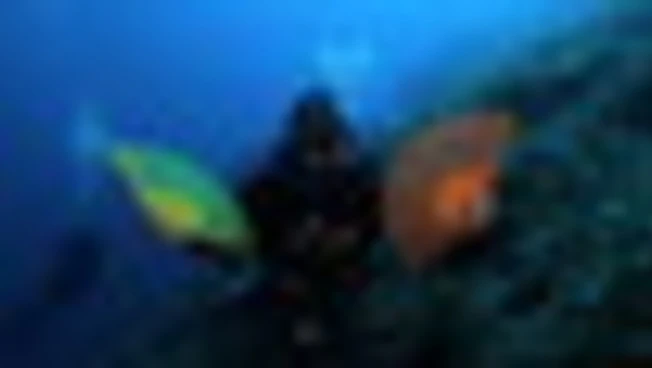 Temperature marine record quest'estate, c'è rischio fenomeni estremi