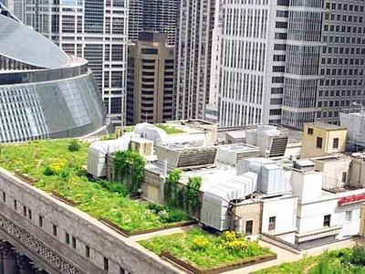 Dall'orto al balcone, fioriere più 'in' e nuove tendenze a "Vita in Campagna"