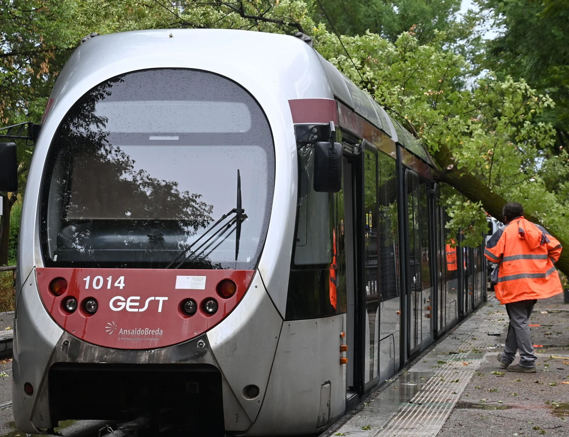Se la tramvia smaschera l'uomo bianco