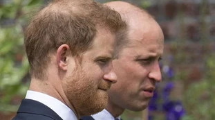 William e Harry, "pace per Lady Diana"? Tutte balle. "Solo 15 minuti prima": come li hanno avvistati, disastro reale