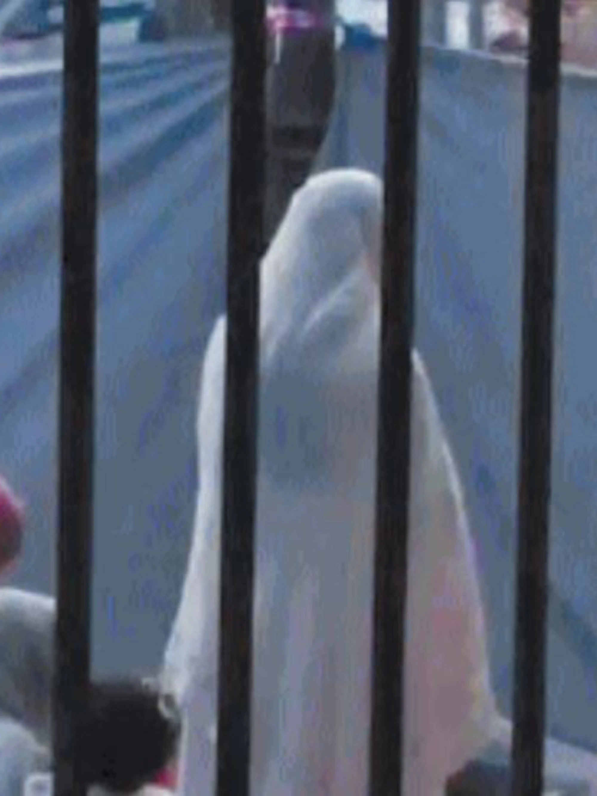Donne islamiche chiuse nei recinti
