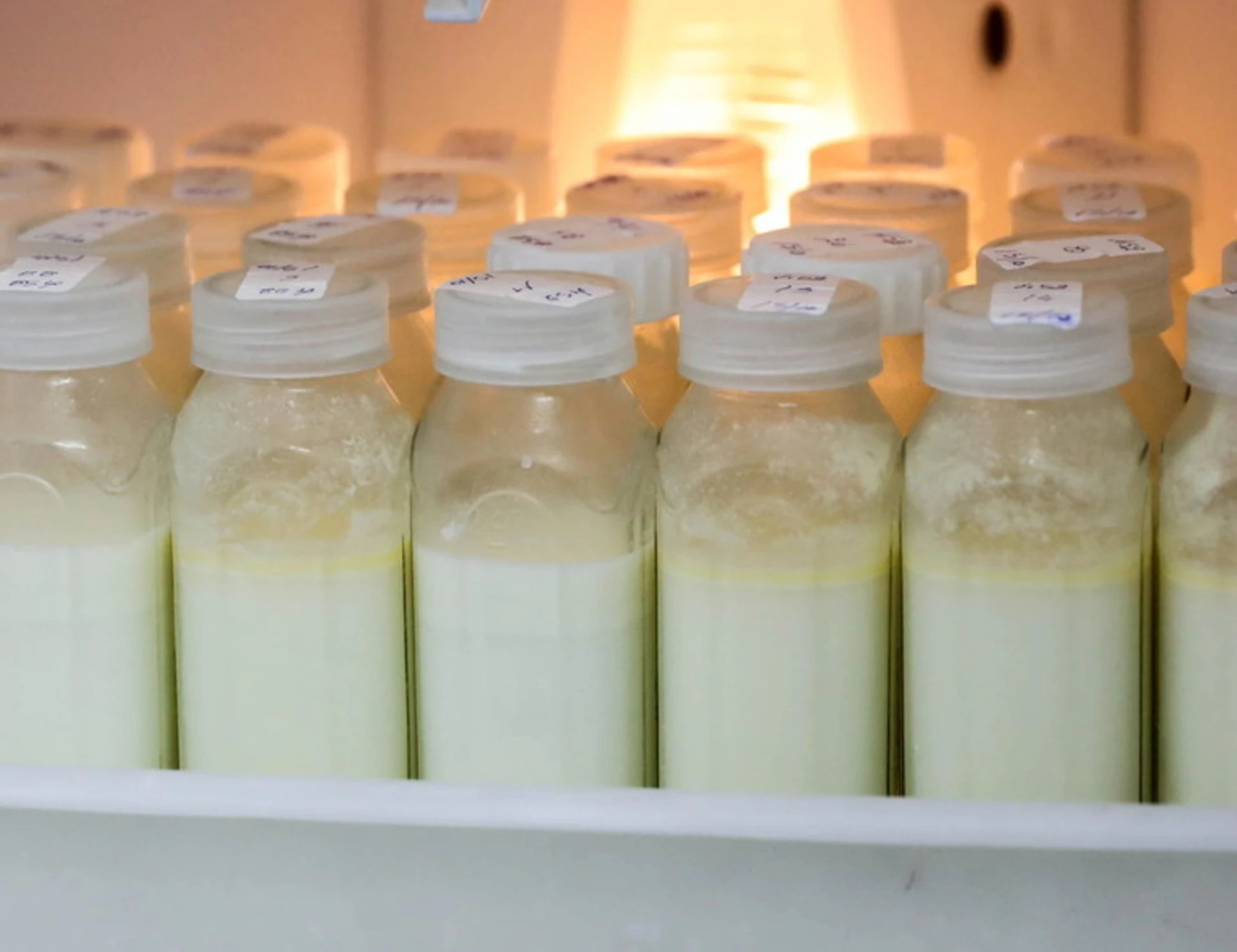 Milano, pochi nati ma è boom della banca del latte