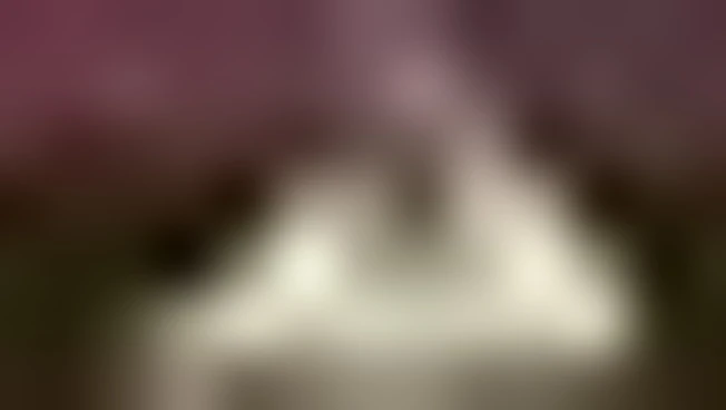 https://media.liberoquotidiano.it/Bgwrl8VPHY4qBhHfgy9DtwMBsPjM3PcClax8hD_a1l8/width:800/quality:90/aW1hZ2VzLzIwMjYvMDUvMTIvMTYyNjI1OTU5LTY3NzM3NTAyLTAwMWItNDA3ZC1iNjkzLWExZWUyODM0ODU0ZS5qcGc.webp