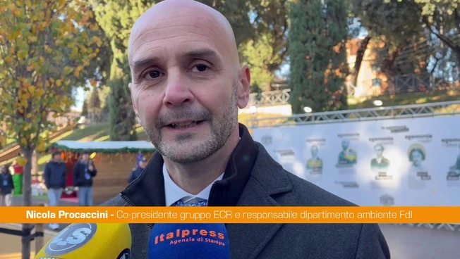 Procaccini "Rinsaldare i valori costitutivi dell'Ue, conservatori più influenti"