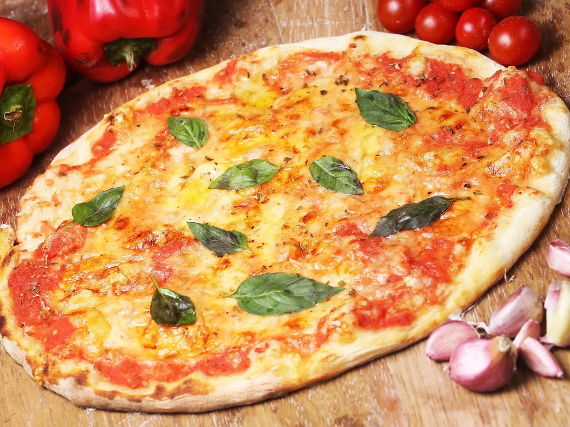 Senigallia, blatte morte ed escrementi di topo: la pizzeria dell'orrore, in cucina...