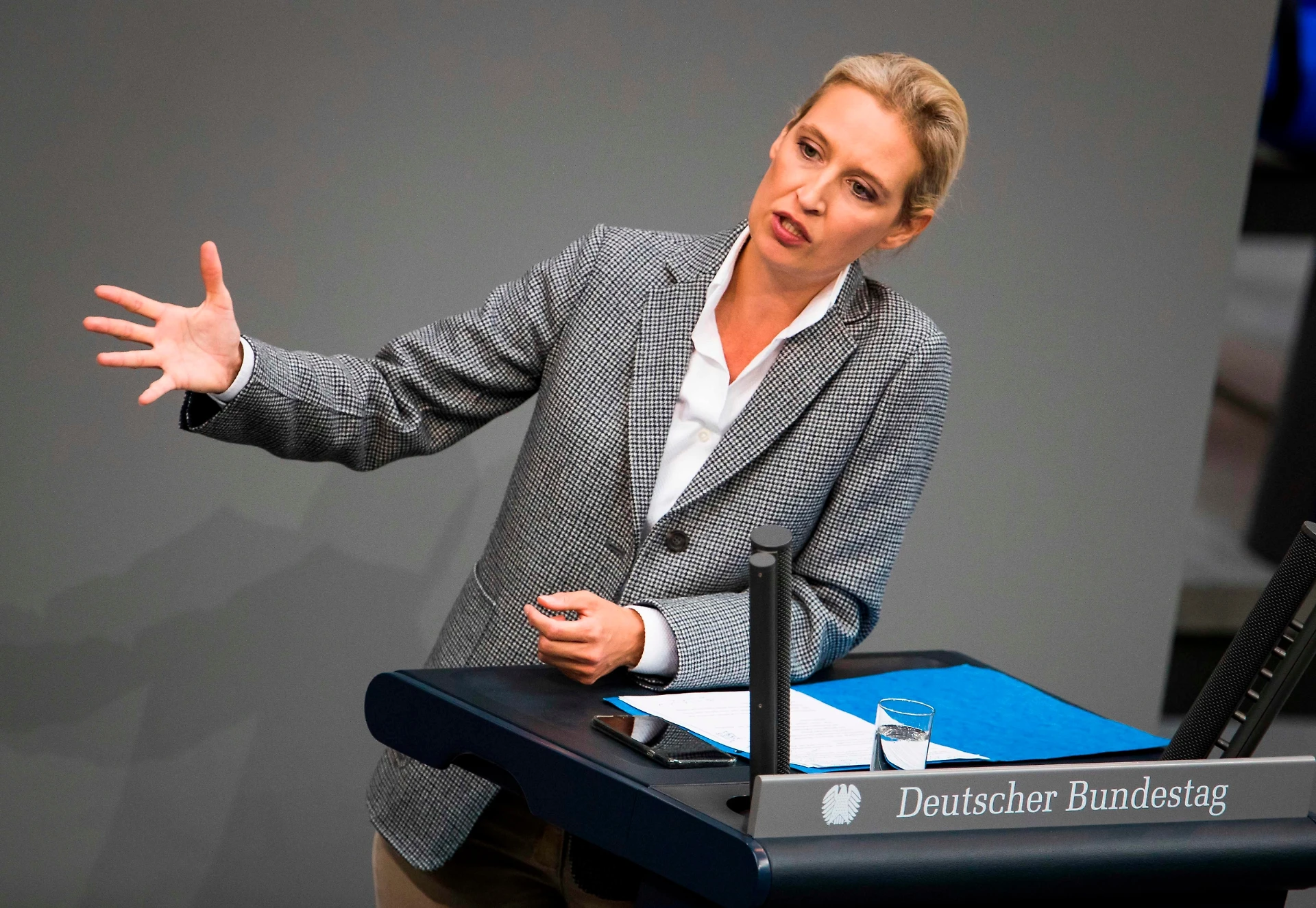 Matteo Salvini, Alice Weidel di AfD rimprovera Matteo Salvini: "Lega troppo debole, ha ceduto al M5s"