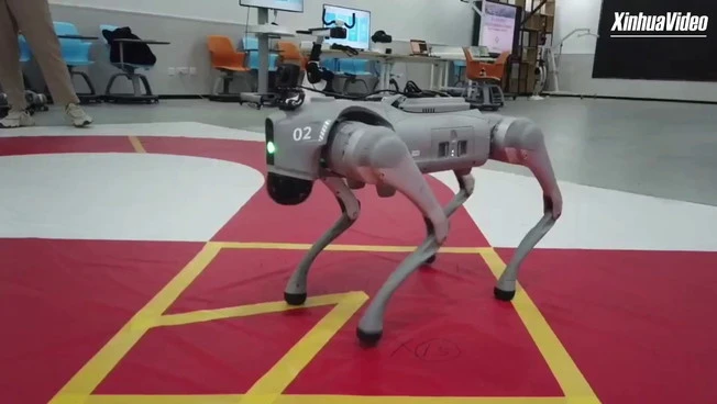 Cina: cani robot controllati con la mente diventano realtà a Xi'an