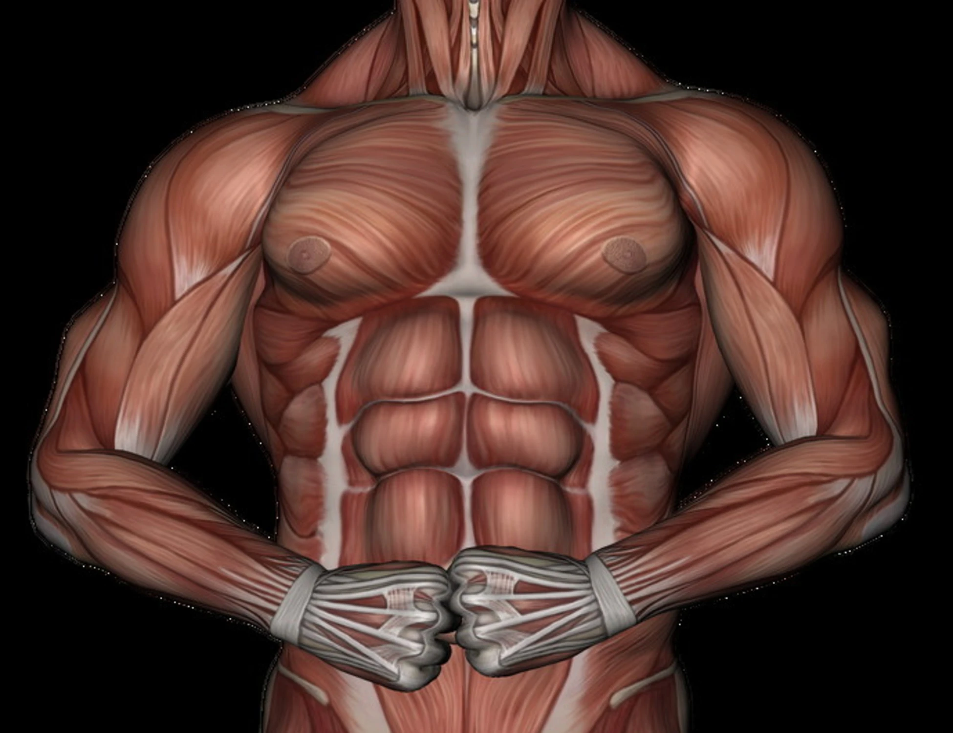 Muscoli? Occhio a questi tre alimenti: cosa accade al nostro corpo